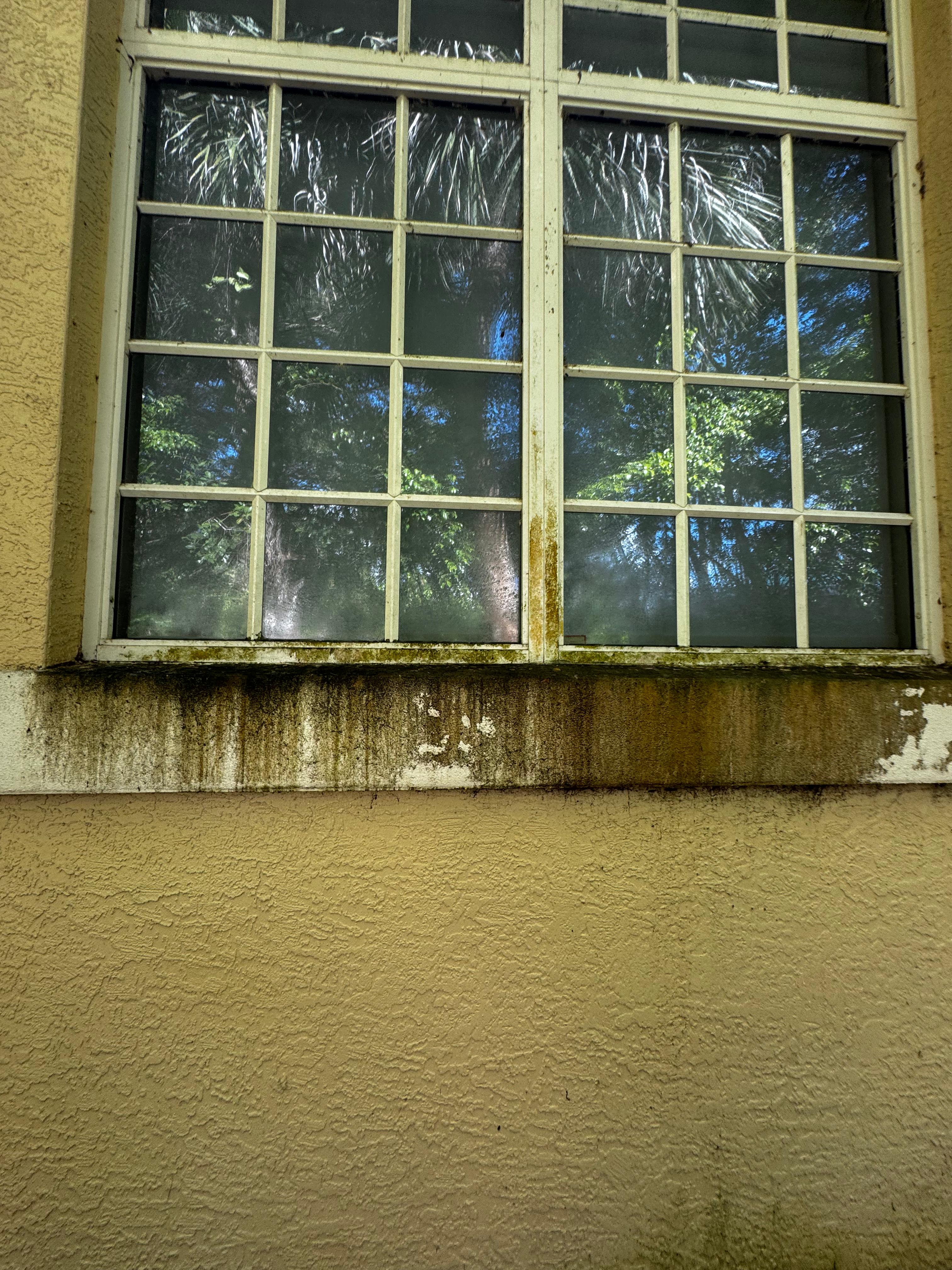 Window before cleaning